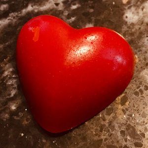 Meet your Posher, Jaynie